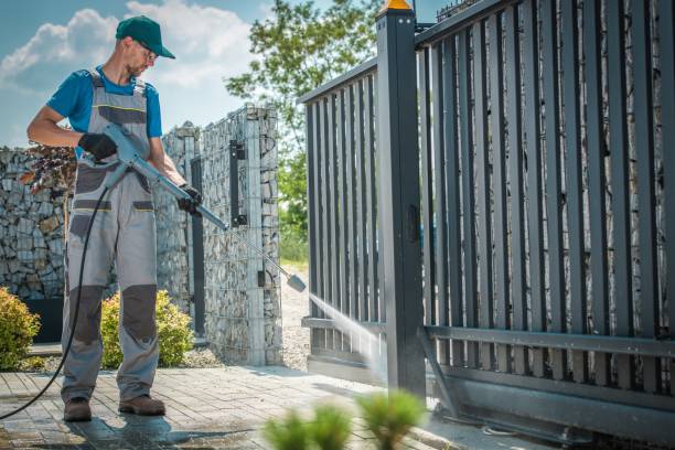 Best Fence Cleaning  in Lealman, FL