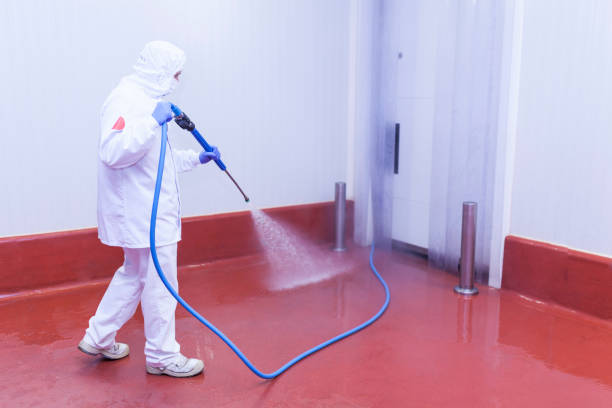 Best Building Exterior Washing  in Lealman, FL