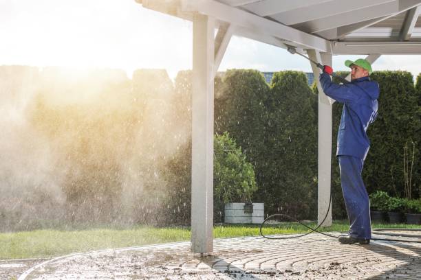 Best Restaurant Pressure Washing  in Lealman, FL