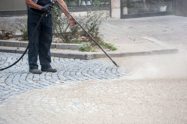 Best Sidewalk and Walkway Cleaning  in Lealman, FL