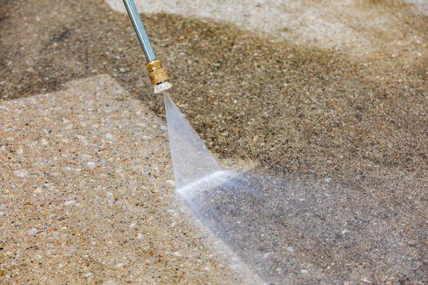 Best Patio and Deck Pressure Washing  in Lealman, FL