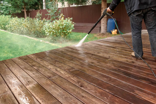 Best Dumpster Area Cleaning  in Lealman, FL