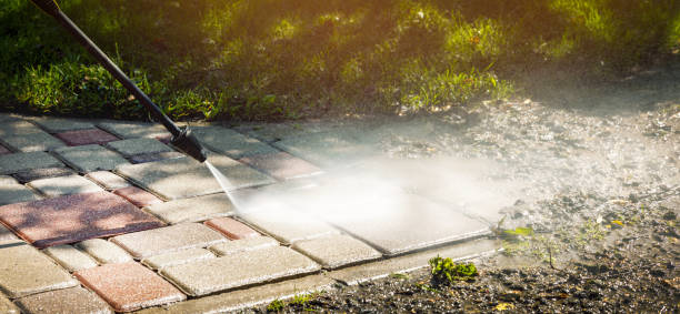 Best Animal Enclosure Cleaning  in Lealman, FL